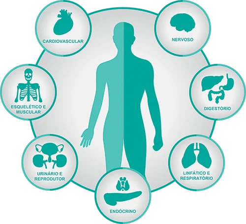 Áreas da saúde humana analisadas pelo Bioanalisador